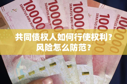 北京共同债权人如何行使权利？风险怎么防范？